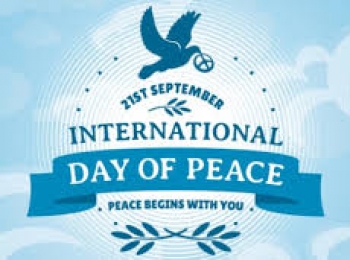 2018 International Day of Peace: How CCDRN is Contributing to Peace Building in Northeast Nigeria