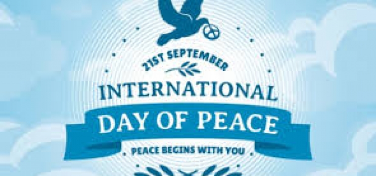2018 International Day of Peace: How CCDRN is Contributing to Peace Building in Northeast Nigeria
