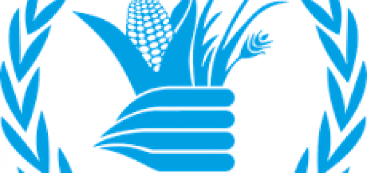CCDRN Concludes May Supervision of WFP’s Cash Based Transfer Transaction in Gujba, Yobe State