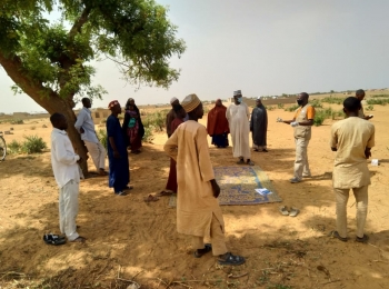 CCDRN Provides Training Support to Conflict-affected Smallholder Farmers in Yobe Communities